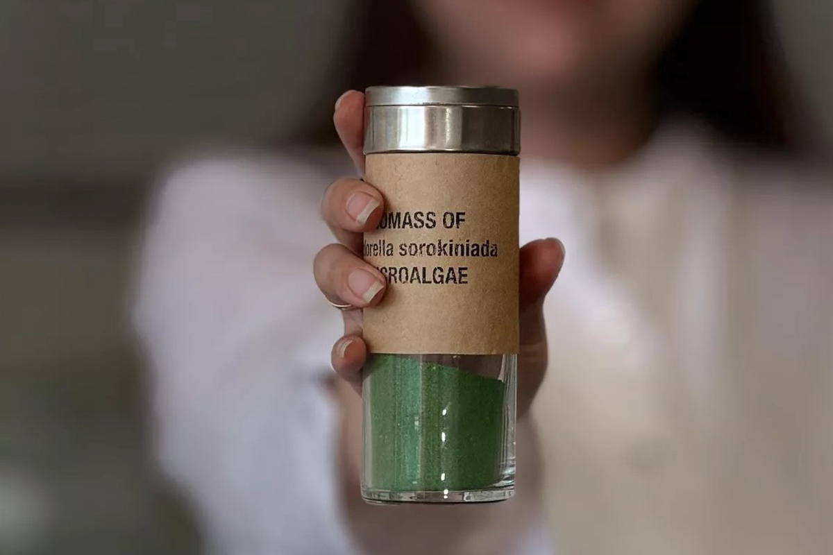 生物氢可用于发电、供热、用于燃料电池，以及作为运输的替代燃料 